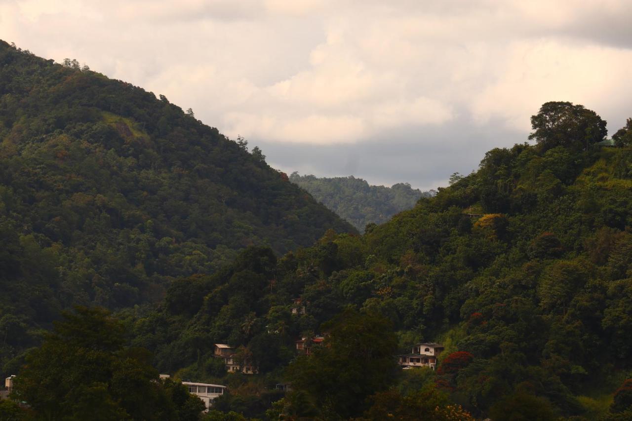 Sky Edge Homestay Kandy Eksteriør bilde